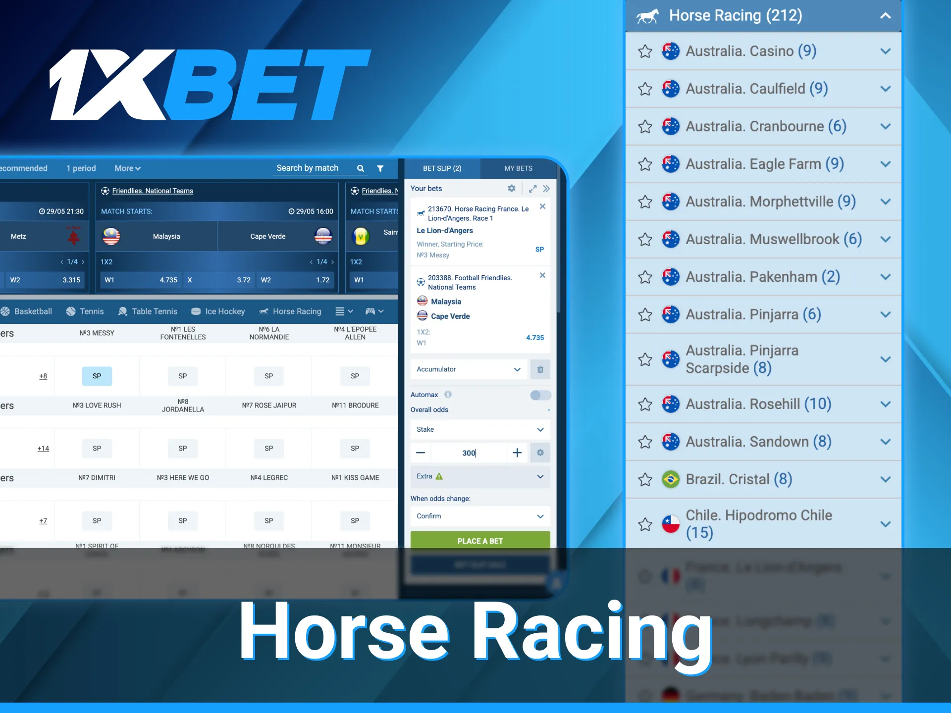 1xBet horse racing betting section.